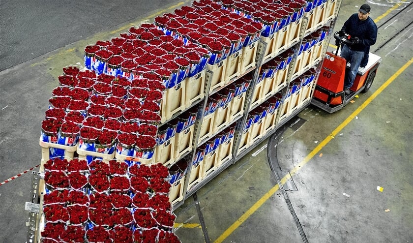 Economen hebben theologen niet nodig om de grenzen van het menselijk verstand te zien. (anp / Koen van Weel)