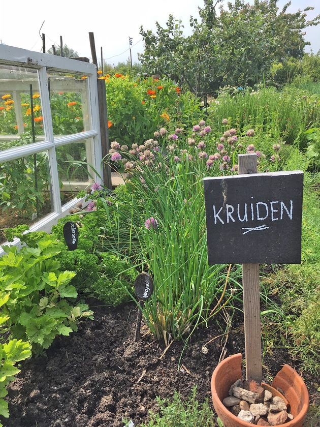 Tussen de bonen, kolen en sla zijn ook fruit, bloemen en kruiden te vinden. (Marco Bosmans)