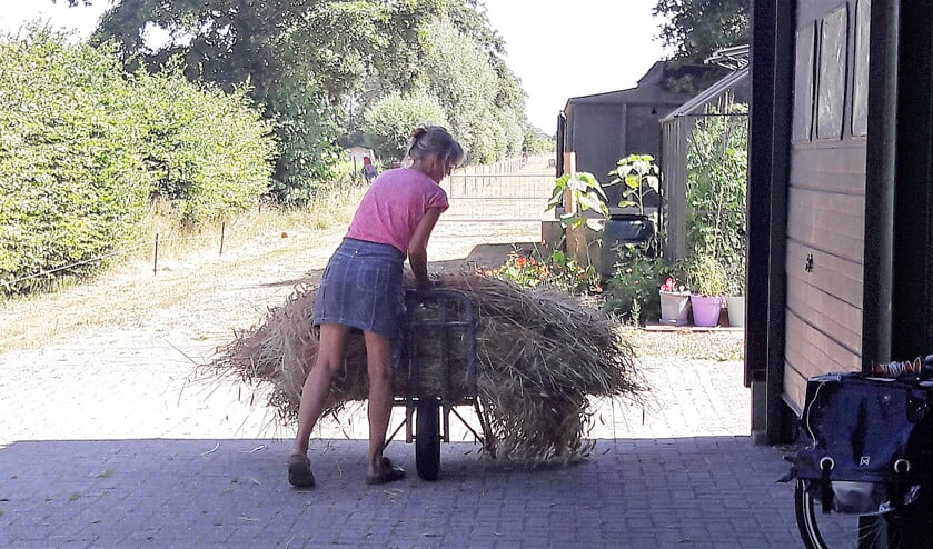 Clarien Moesker: ‘Het is misschien wel groot en veel werk, zeshonderd vierkante meter, maar ik haal er bijna iedere dag mijn voldoening uit.’ (Marco Bosmans)