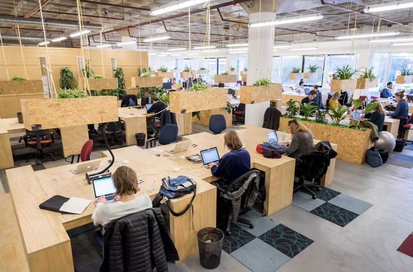 Zzp’ers aan het werk in een verzamelgebouw in Amsterdam. Veel zzp’ers zijn eerder bevlogen vakmensen dan calculerende entrepreneurs. (anp / Lex van Lieshout)