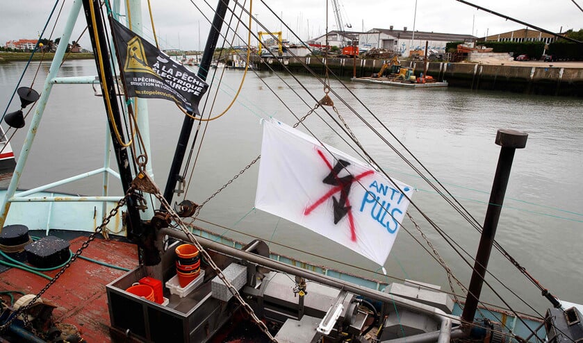 Met een spandoek protesteert deze visser in de haven van Nieuwpoort tegen het aanstaande verbod op de pulsvisserij. (afp photo / Kurt Desplenter)