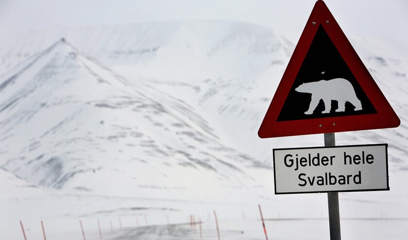 Pas op voor ijsberen, waarschuwt dit bord bij het Noorse poolstadje Longyearbyen. (afp / Daniel Sannum Lauten)