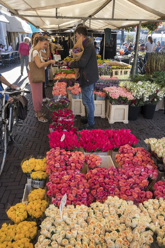 Wie het milieu wil sparen, doet er goed aan op te letten wannneer hij welke bloemen koopt. (istock)