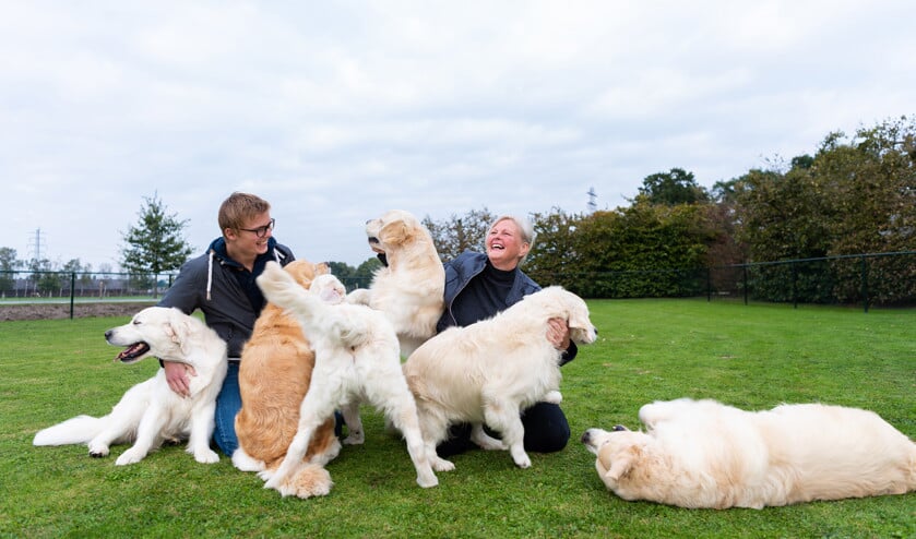 Hondenfokker Jeannette Westerink en medewerker Jarno van den Berg met hun golden retrievers. (Katja Poelwijk)