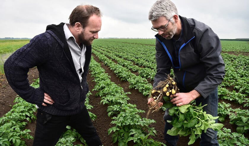 Duurzaam akkerbouwer Dingeman Burgers (rechts) en Herman van Bekkem van Greenpeace. ‘We trekken aan hetzelfde eind van het touw.’ (Marcel van den Bergh)