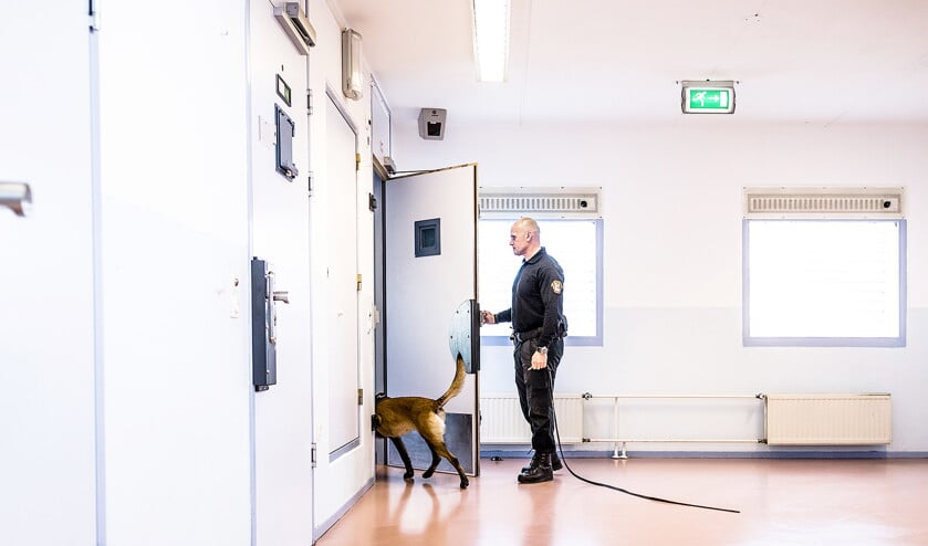 Met begeleider Mario in de penitentiaire inrichting in Zwaag, op zoek naar telefoons. (Freek van den Bergh)