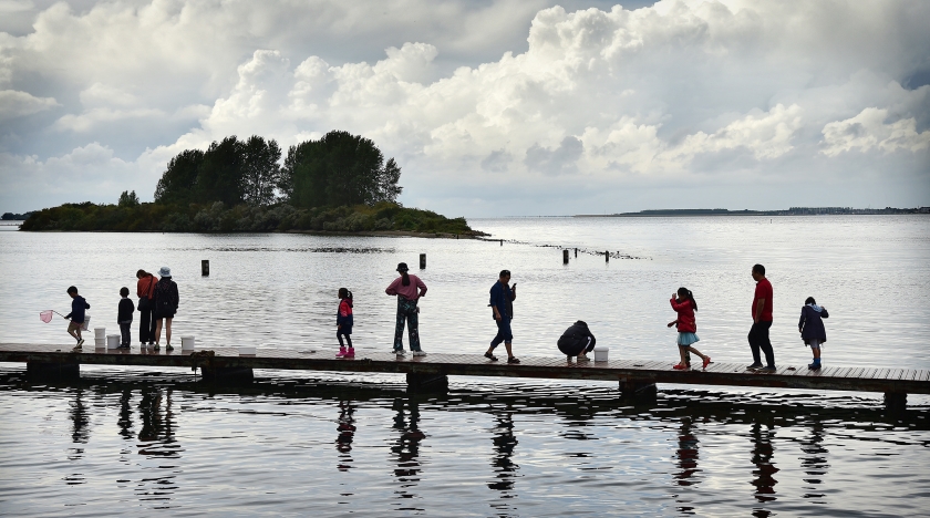 Het Grevelingenmeer. De bodem is zwart; alleen zwavelbacteriën kunnen er overleven. (Marcel van den Bergh)