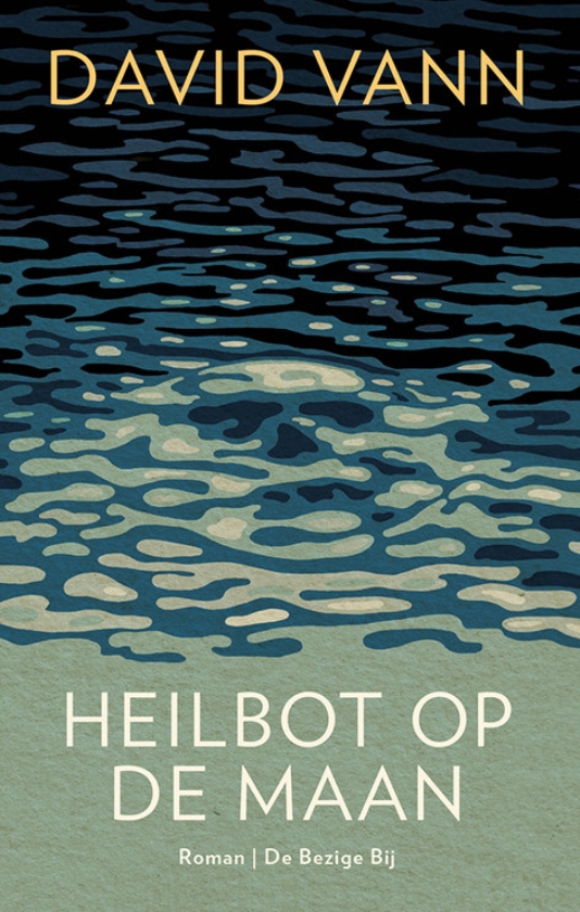 Literatuur: Heilbot op de maan - David Vann