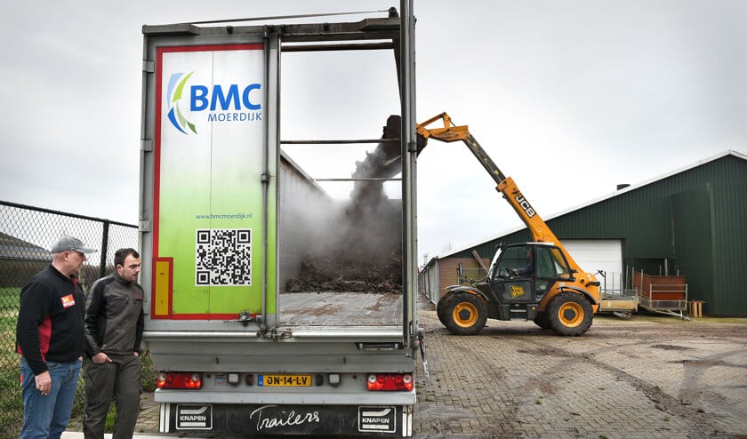 Boeren die ganzen op hun land hebben, krijgen te maken met grote bergen ganzenpoep. BMC Moerdijk, een mestverwerkingsbedrijf, voert deze af. (Marcel van den Bergh)