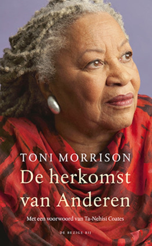 Het hek tussen wit en zwart