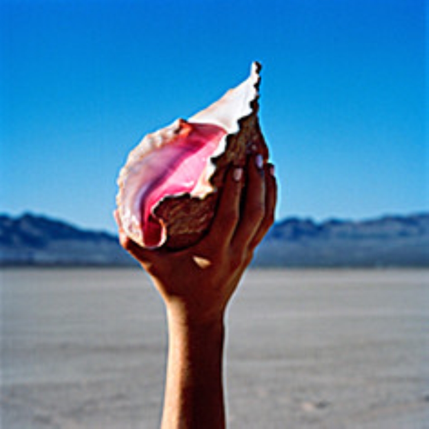 CD: Wonderful Wonderful - The Killers