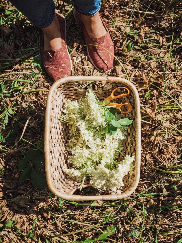 (W)Eten: Salade van vlierbloesem met asperge en gekookt ei (Pixabay)