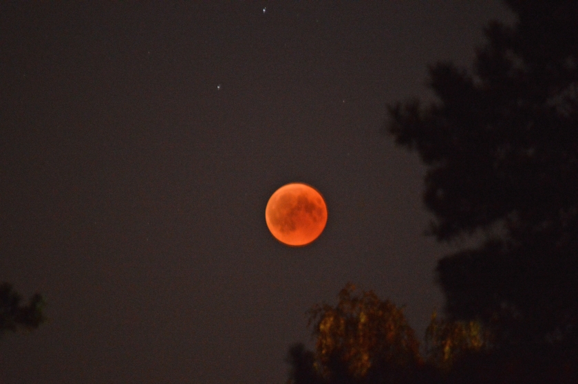 De kleur van de ‘bloedmaan’ is te danken aan zonlicht dat in de atmosfeer van de aarde is afgebroken. (Kees de Heer)