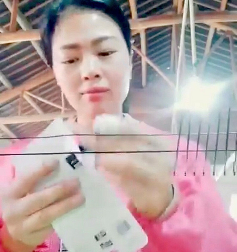 Viral: Populair op TikTok: film je werk (nd)