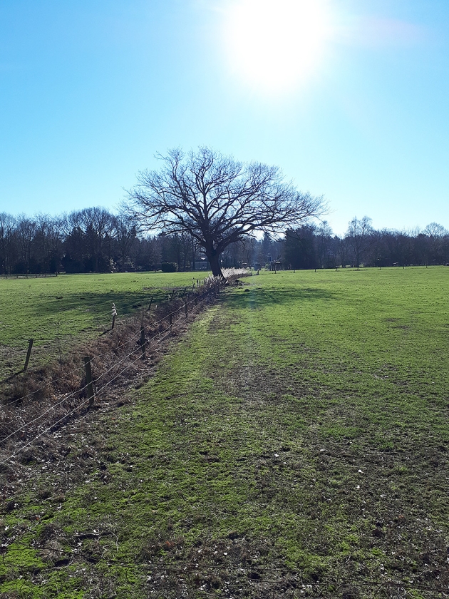 Landschap tussen Bredevoort en Aalten. (nd)