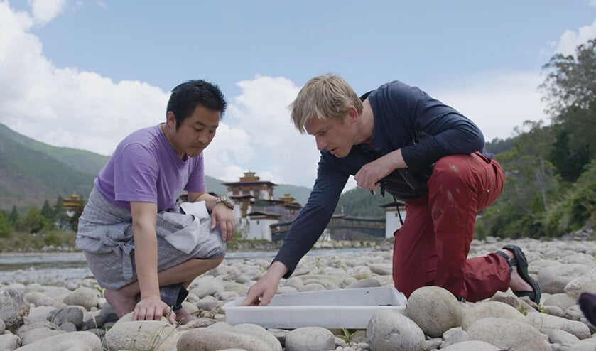 Op jacht naar libellen in nieuwe documentaireserie over Nederlandse wetenschappelijk verzamelwoede (ntr)
