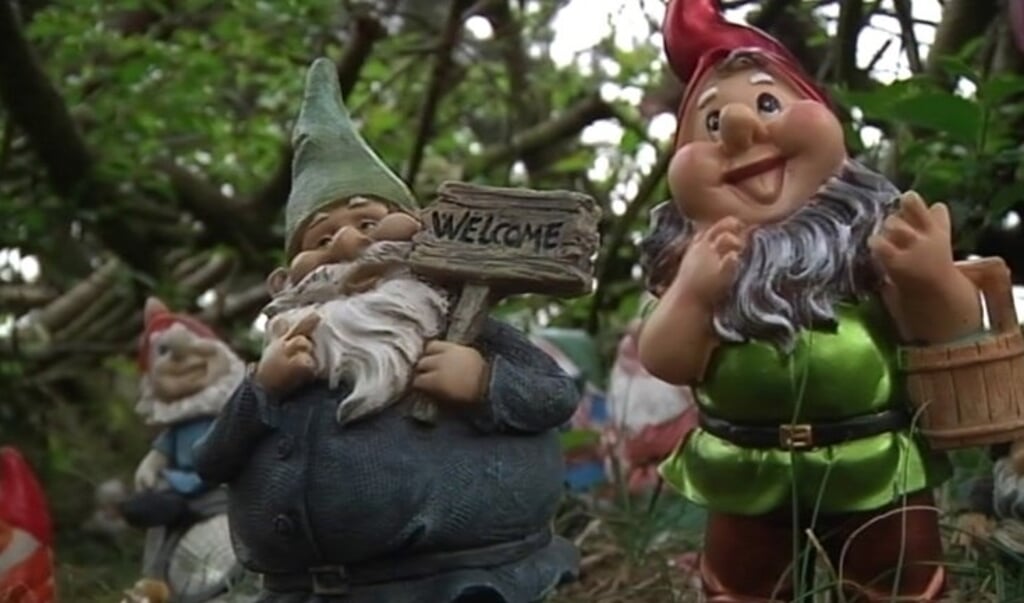 Een boswachter heeft ooit de eerste kabouter in de duinen bij De Zilk neergezet. Steeds meer mensen hebben er een bij gezet. (beeld RTV West)